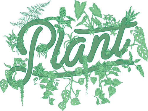 PLANT by Packwood
